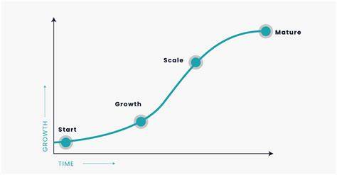 How a Nigerian Startup Scaled Up Nationally: The Journey of NaijaGro